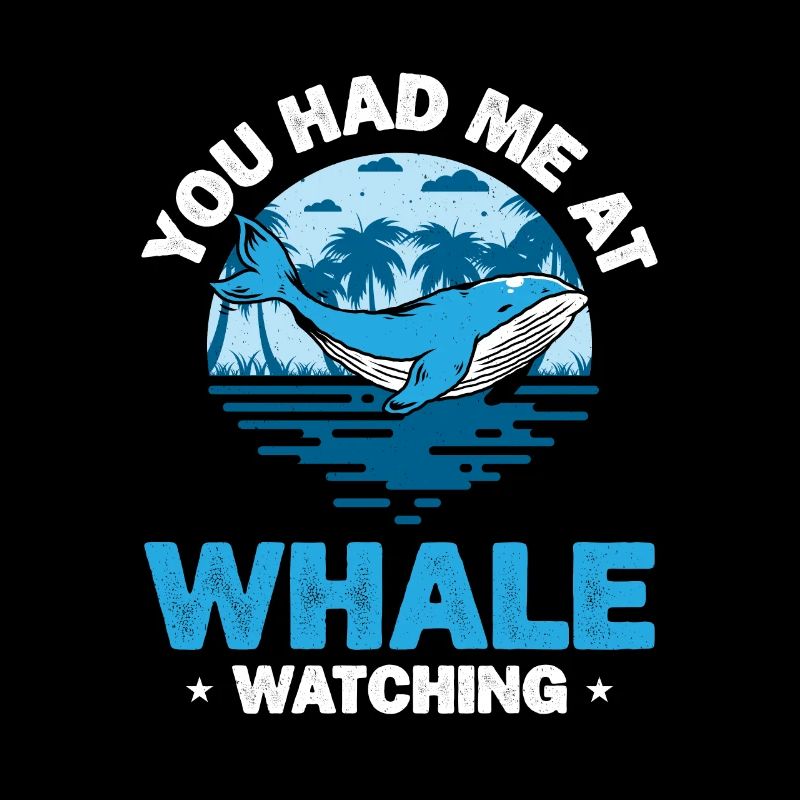 Seaworld Cetacean Orca Observation des baleines