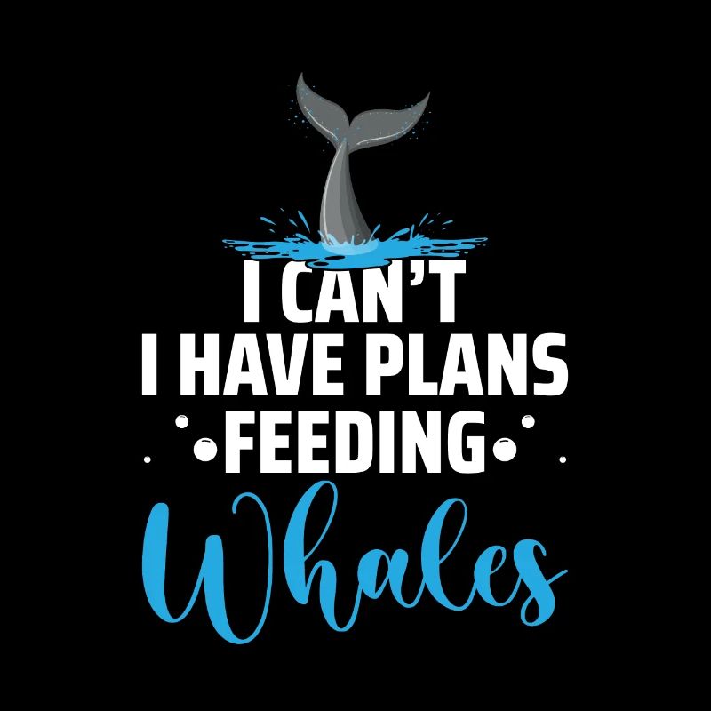 Seaworld Cetacean Orca Walbeobachtung