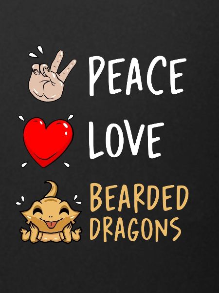 Dragon barbu