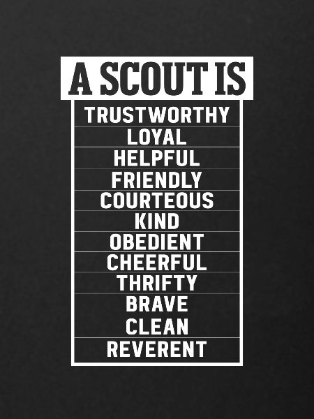 Scouting Scouts