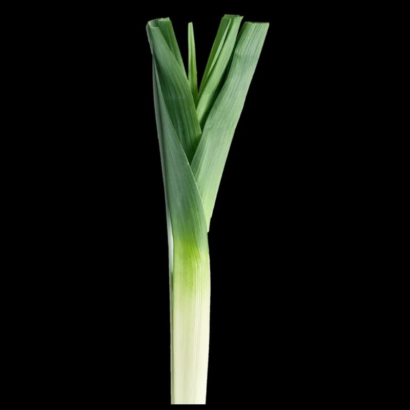 Meme from the Internet - leek.