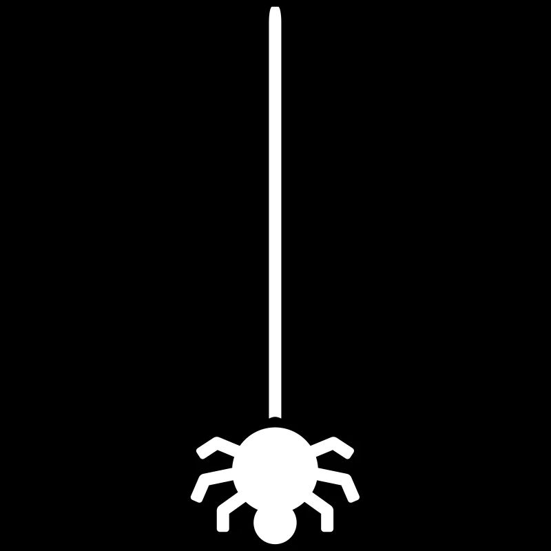 Araignée suspendue