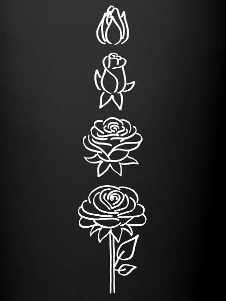 éclosion d'une fleur blanche