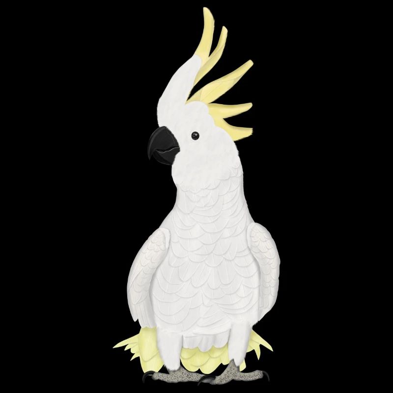 Cacatoès, ornithologue, biologiste, ornithologue