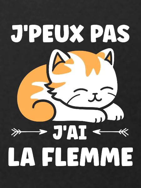 J'ai la flemme