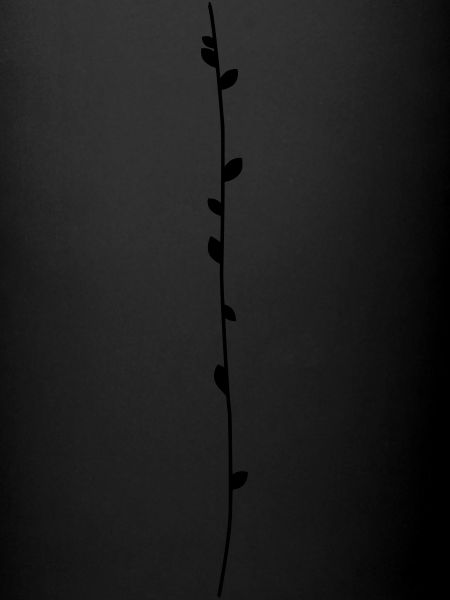 branch