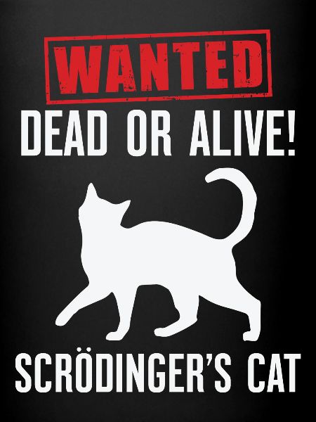 Le chat de Schrödinger
