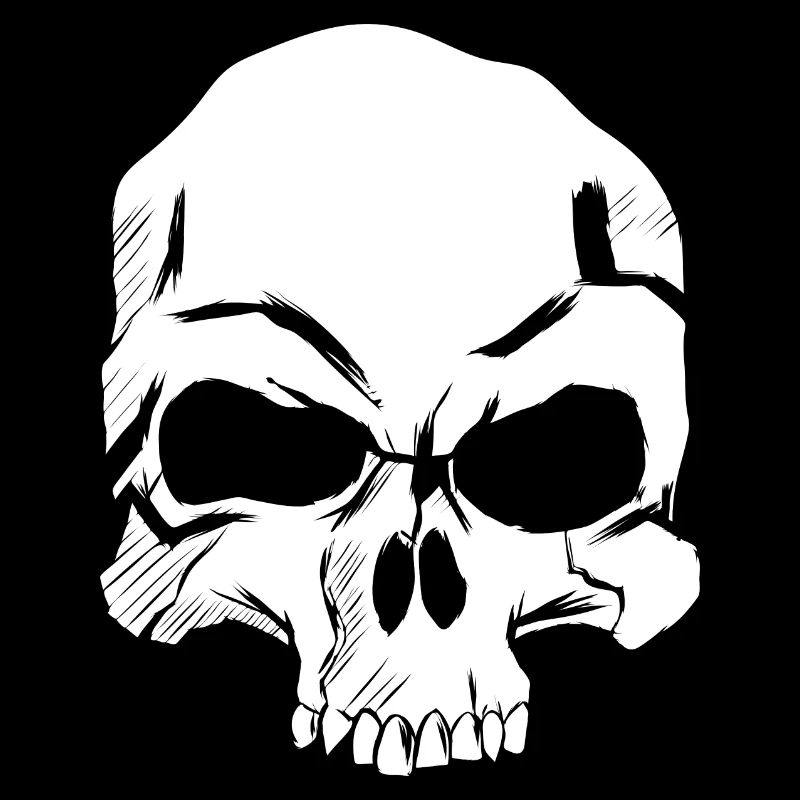 Detailed skull illustration