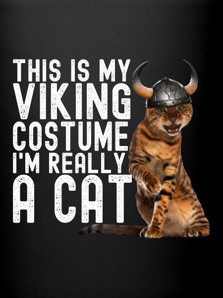Chat Viking