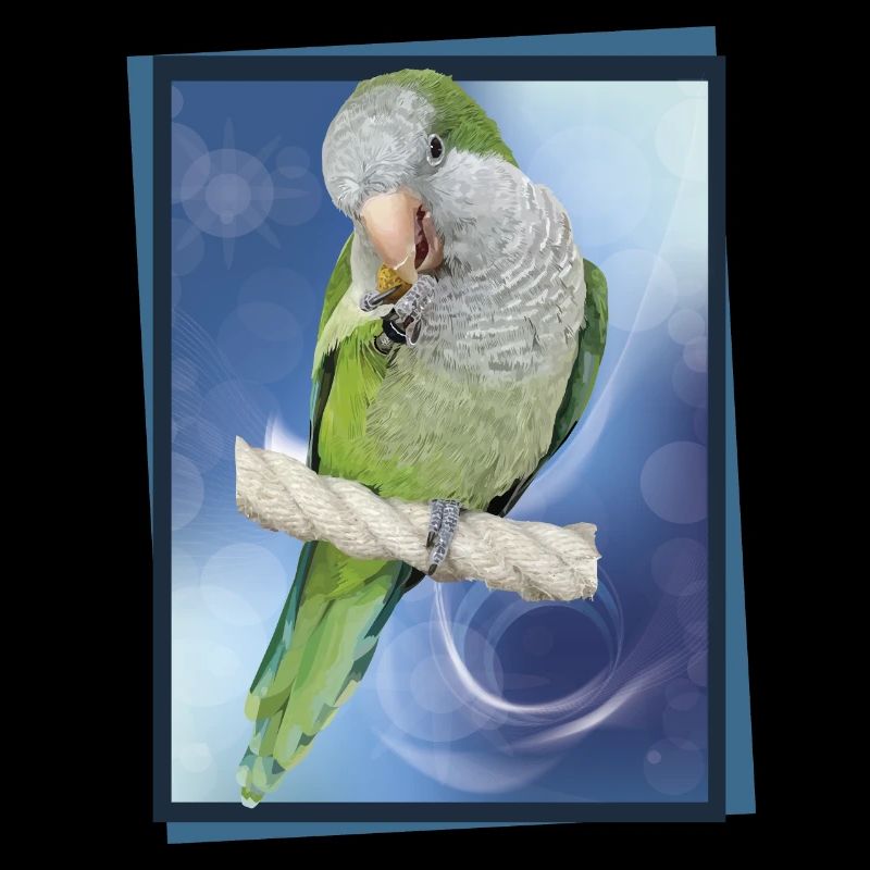 Argentinischer Sittich