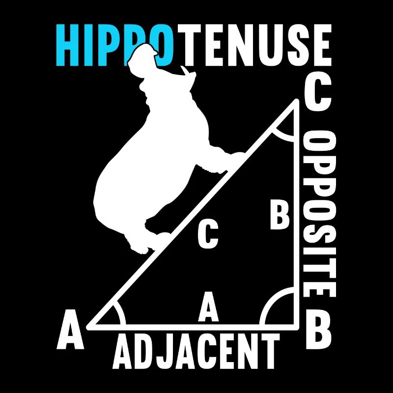 Professeur de mathématiques