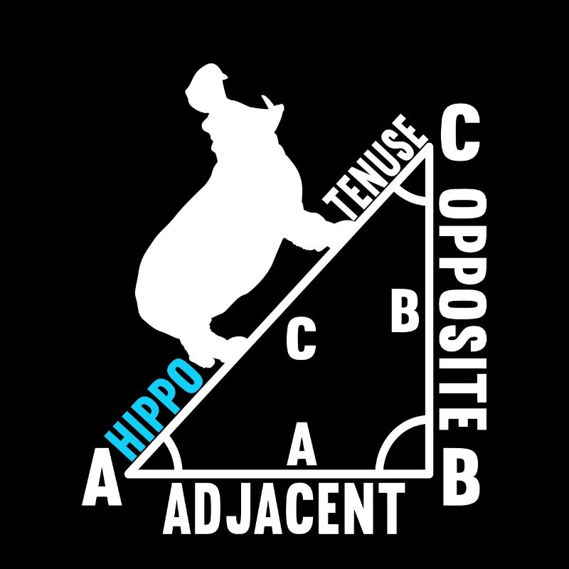 Professeur de mathématiques