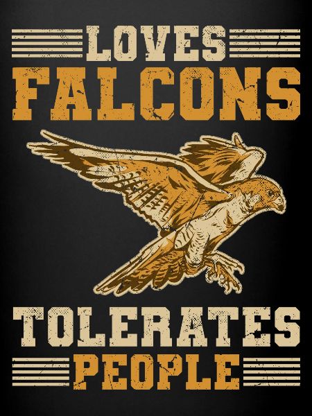 Falconry