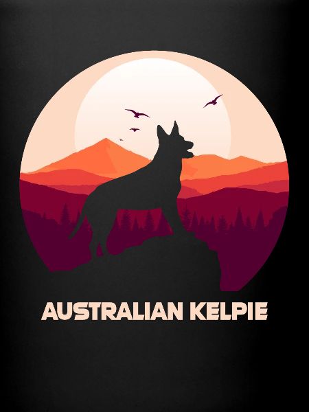 Kelpie australien