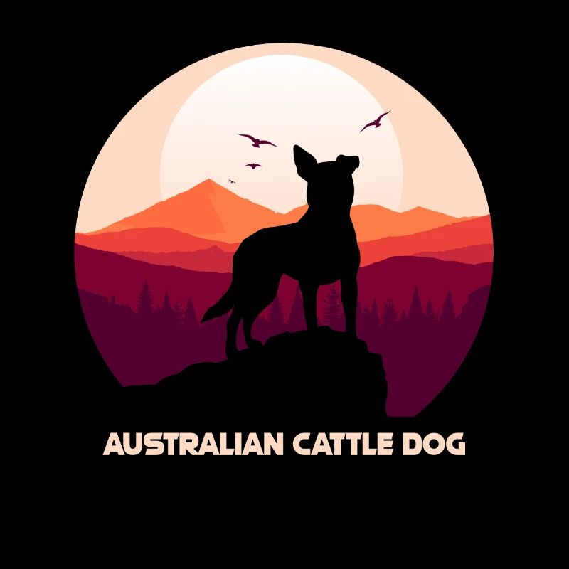 Bouvier australien