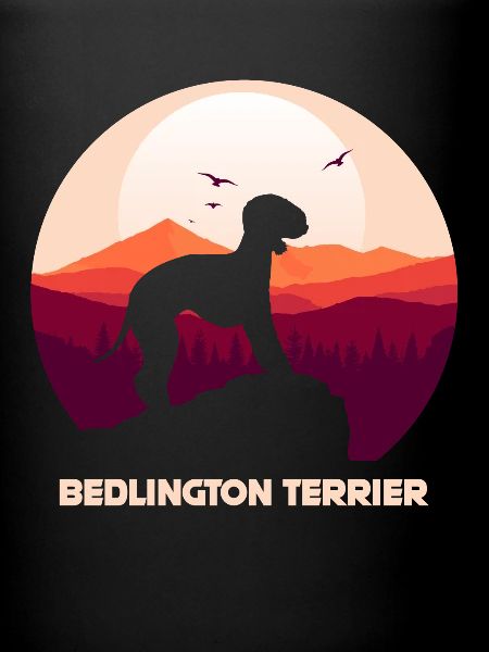 Bedlington Terrier