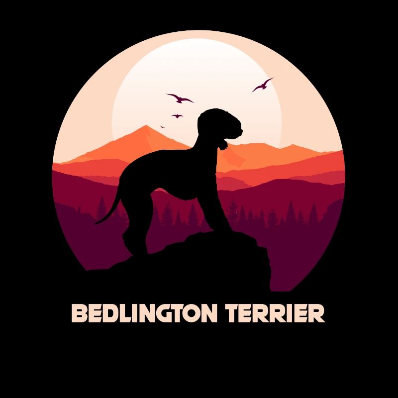 Bedlington Terrier