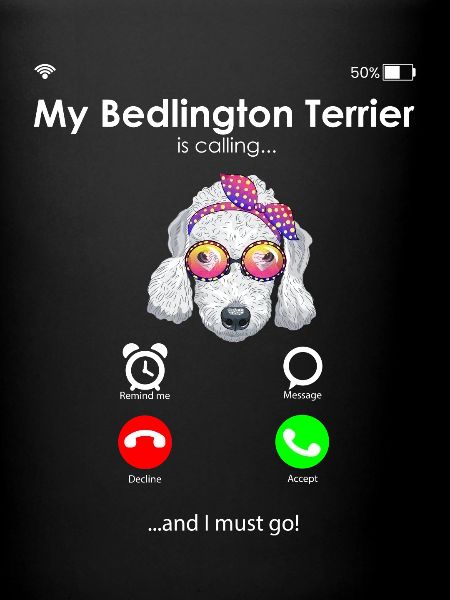 Bedlington Terrier