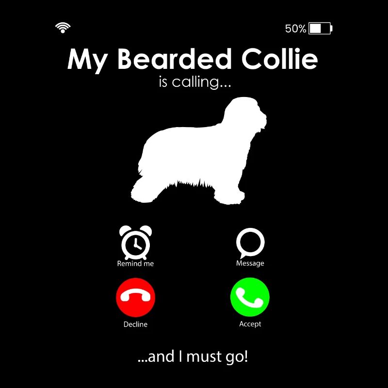 Bearded Collie
