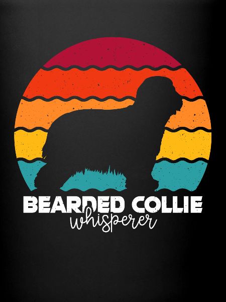 Bearded Collie