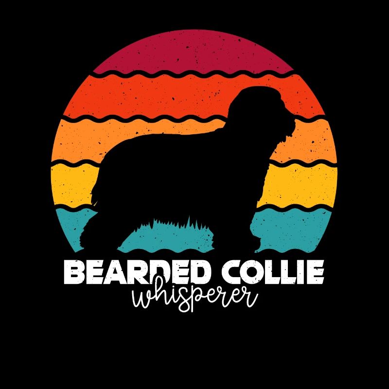 Collie barbu