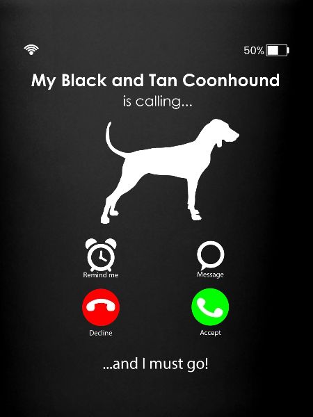Coonhound noir et beige