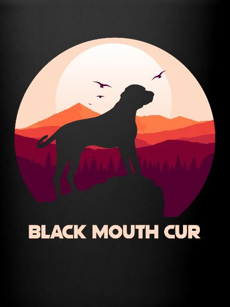 Cur bouche noire