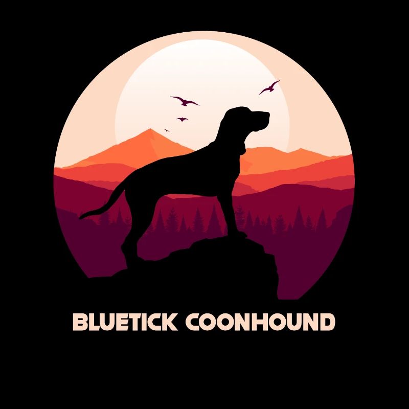 Bluetick Coonhound Chien