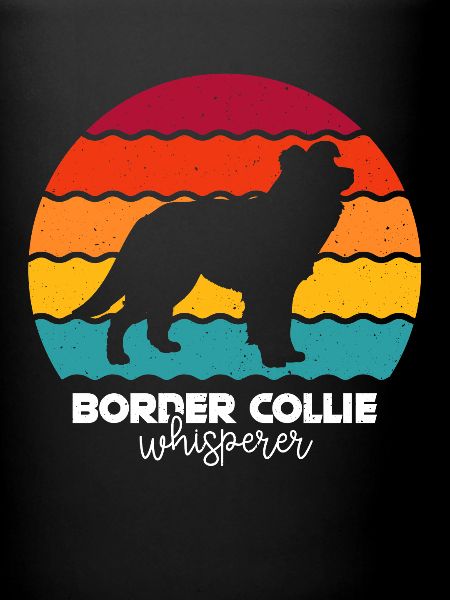 Border Collie Chien
