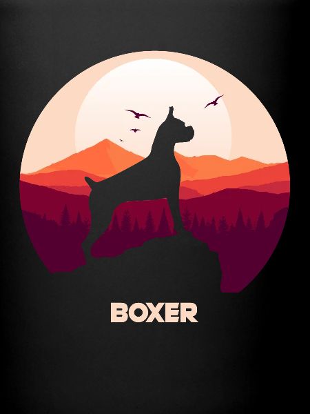Boxer Dog
