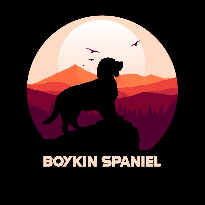 Boykin Spaniel
