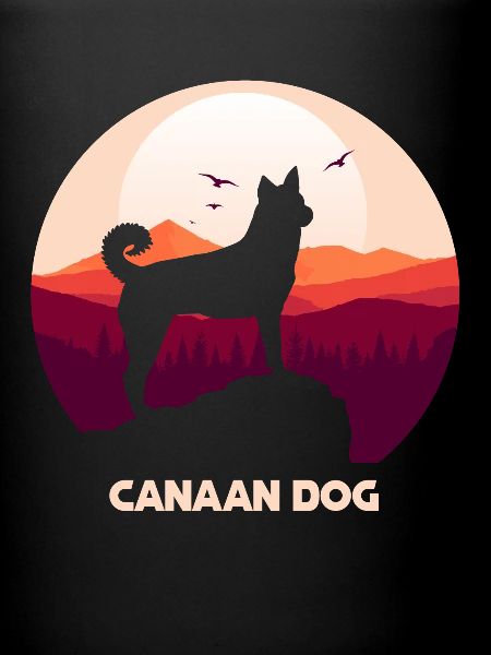 Chien de Canaan