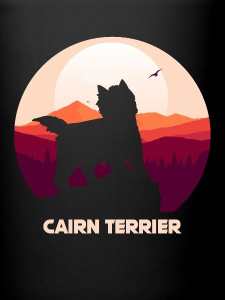 Cairn Terrier