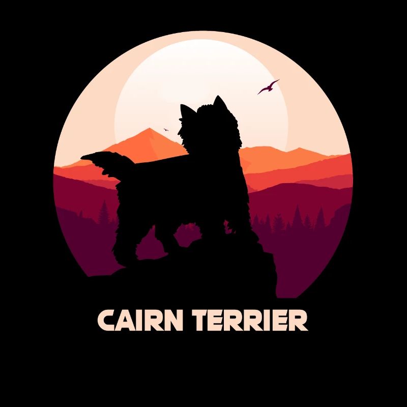 Cairn Terrier