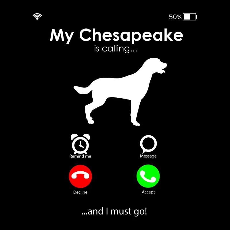 Chesapeake Bay Retriever