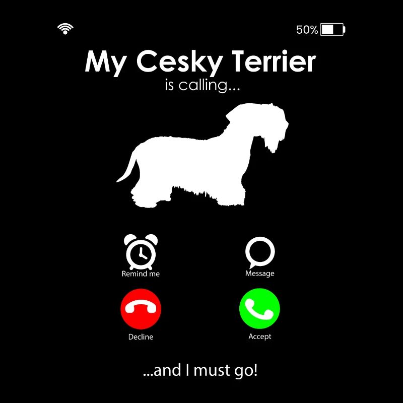 Cesky Terrier Hund - Cesky Terrier