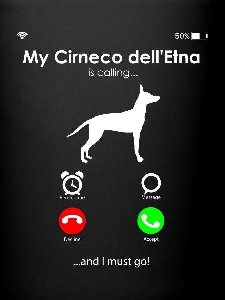 Cirneco dell Etna