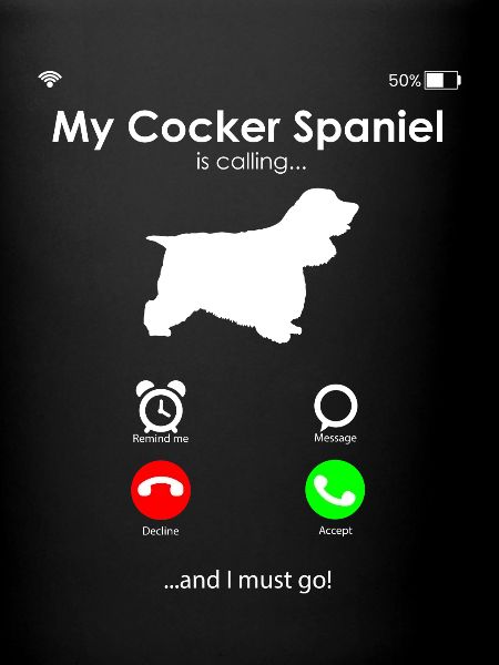 Cocker Spaniel