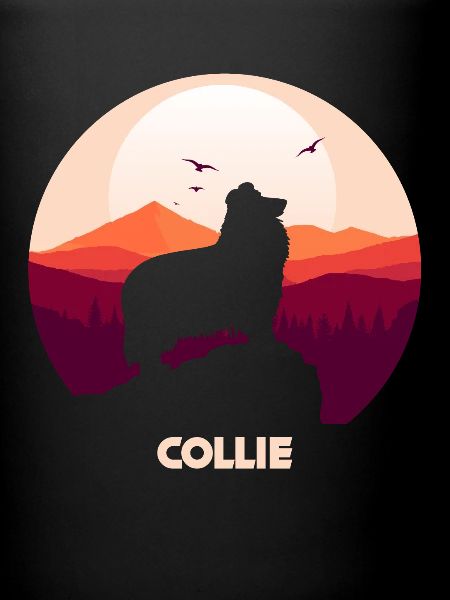 Colley