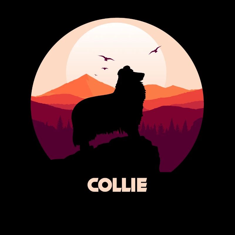 Collie