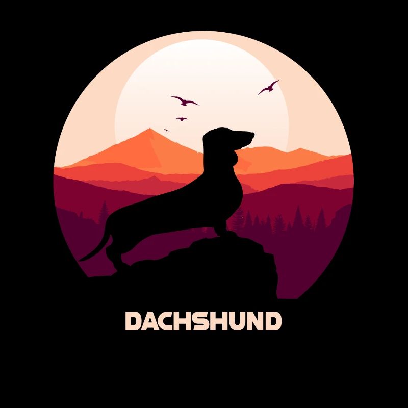 Dachshund