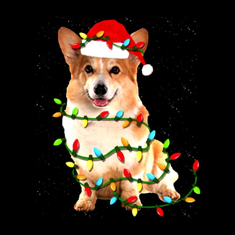Corgi