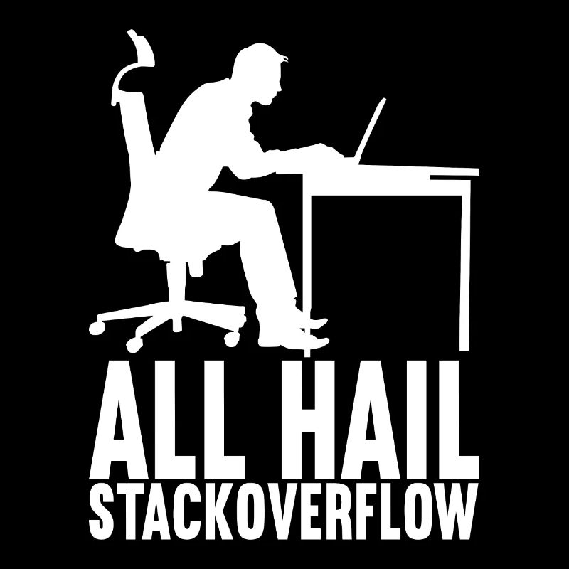 Programmierer Informatiker