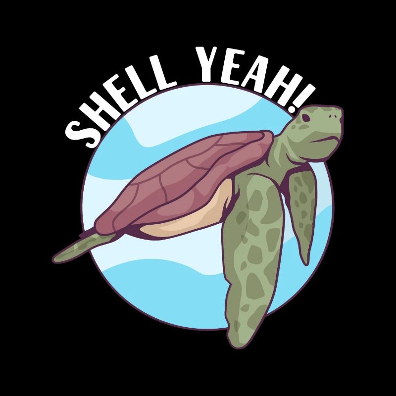 Turtle Turtle Aquatic turtle