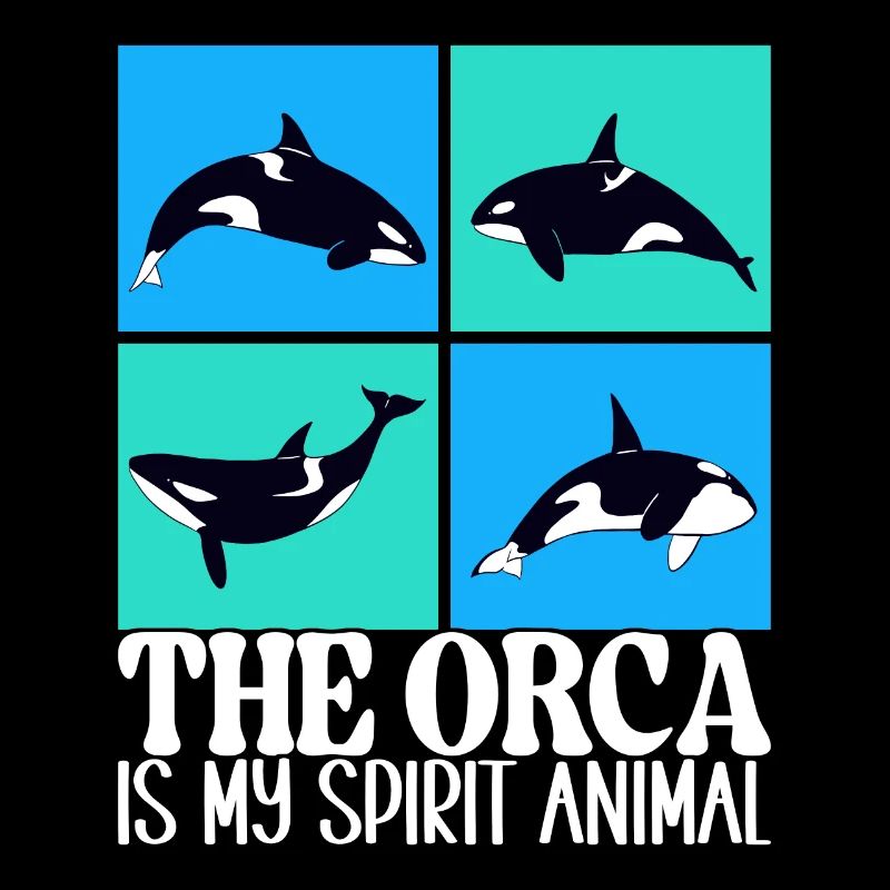 Wale Walbeobachter Orca