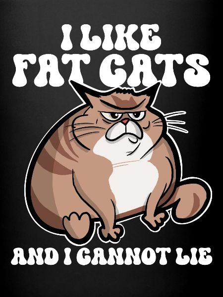 Gros chat