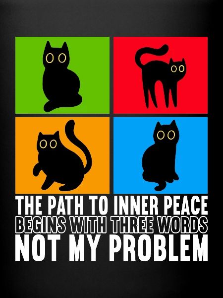 Chats Misanthrope Sarcasme