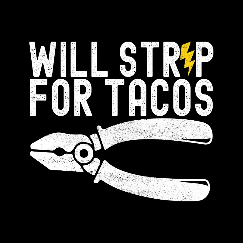 Electrician Electronics Technician