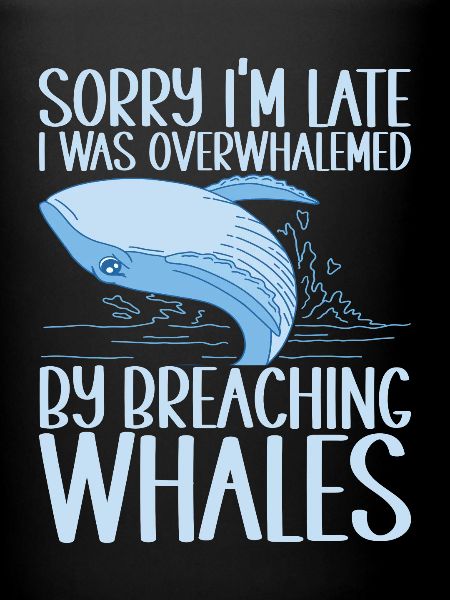 Whales Whale