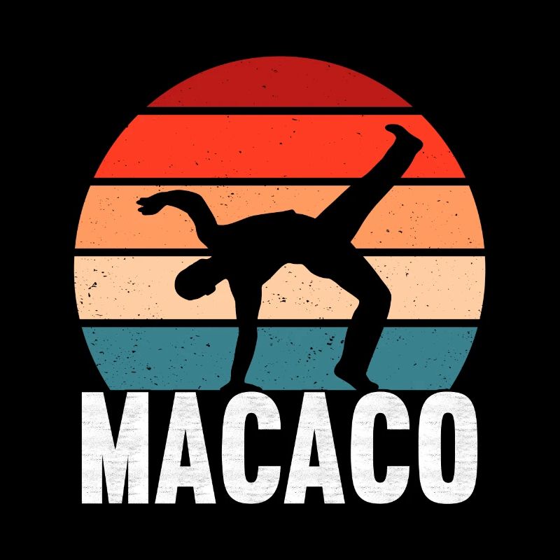 Capoeira Capoeirista
